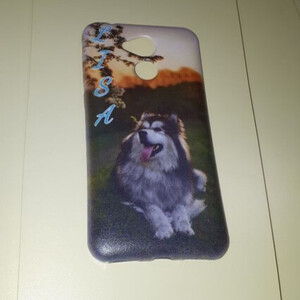 УФ печать на чехле в Пскове